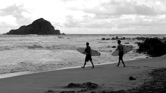 Tropical surfing hawaii