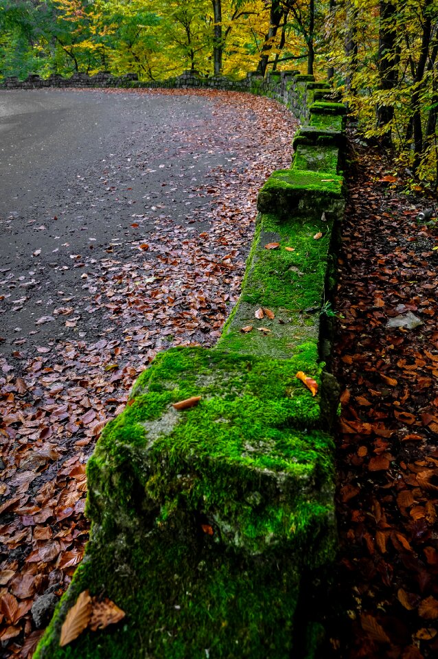Autumn beautiful scene