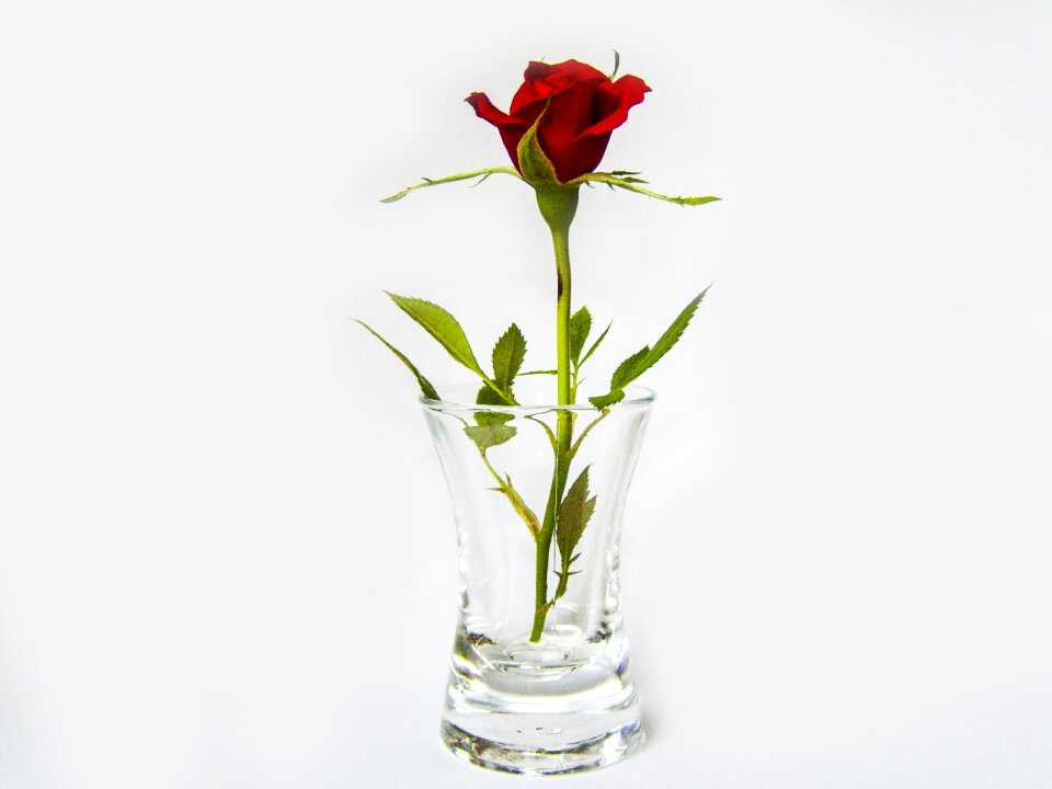 Glass red flower