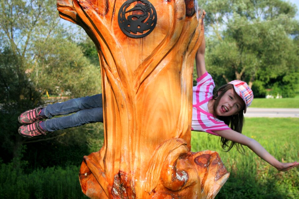 Illusion carving wood carving