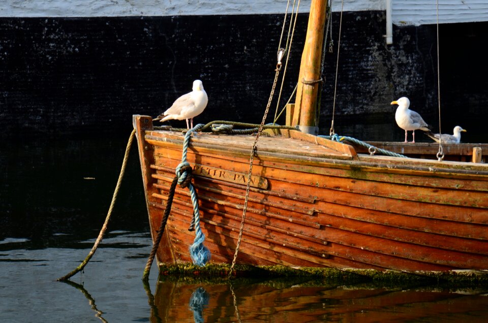 Water boat fishing port