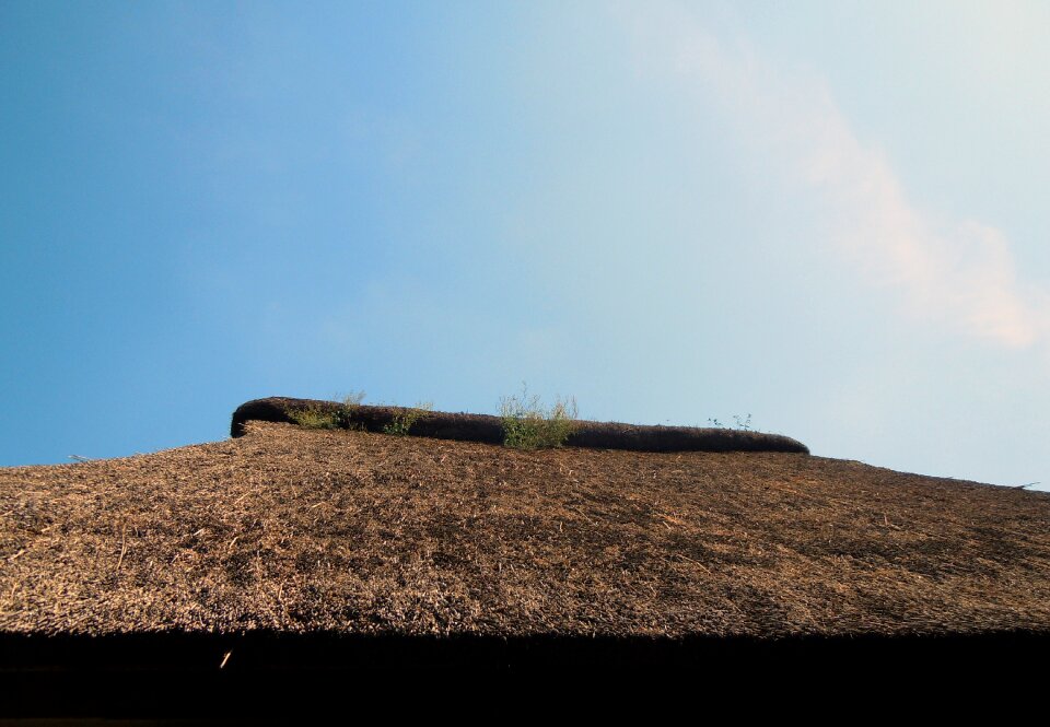 Thatched roof roof grass roof
