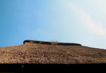Thatched roof roof grass roof