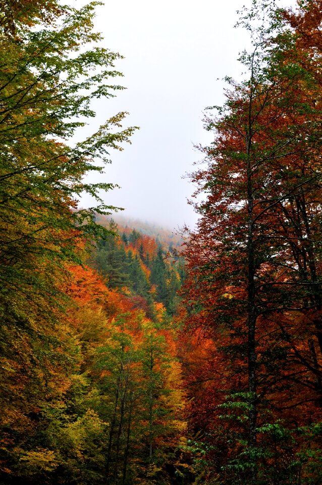 Nature mountain outdoor photo