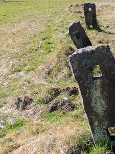 Meadow spring stone