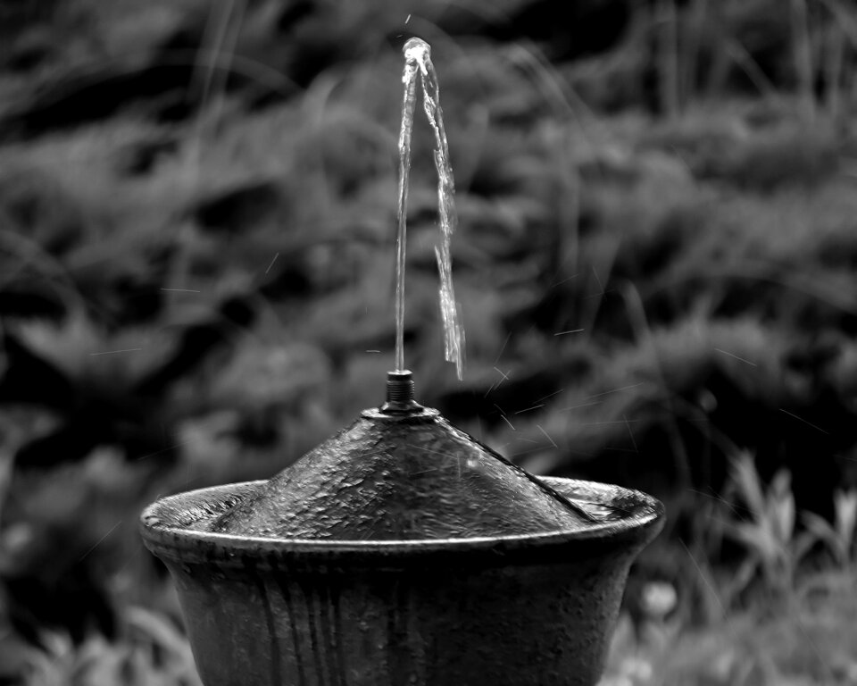 Black white object