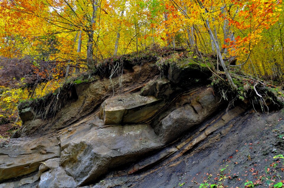 Landscape nature beautiful