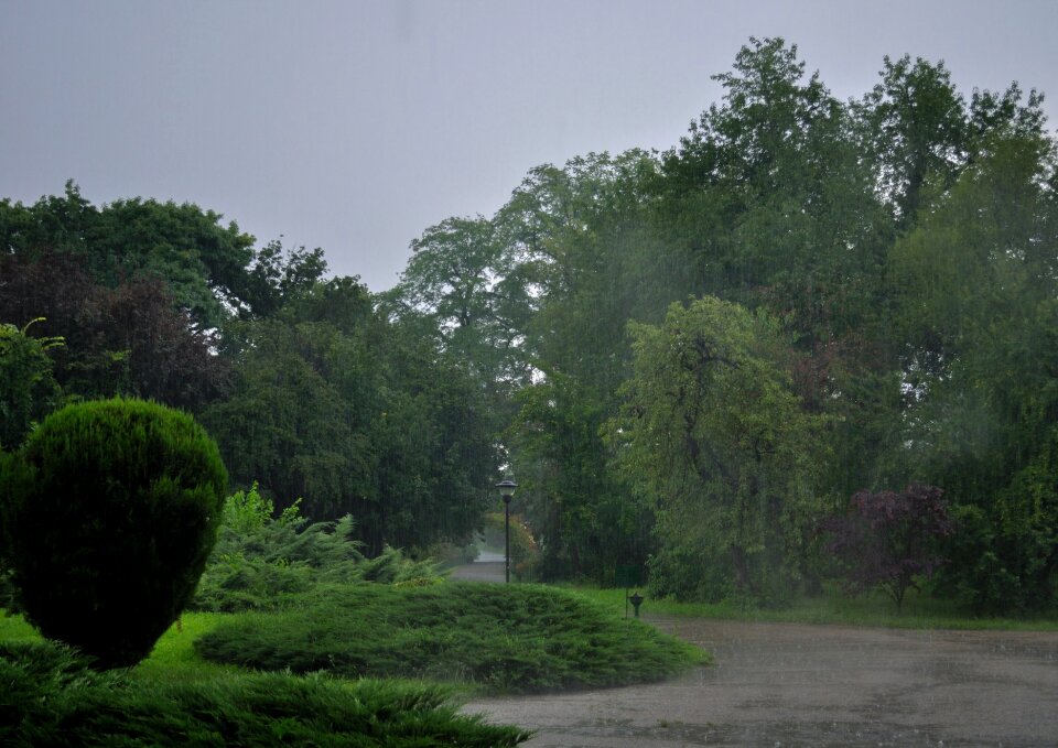 Park weather nature