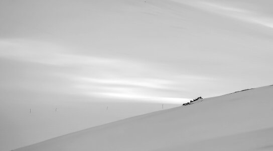 Minimalist nature cold