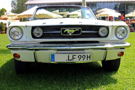 Vehicle mustang american photo