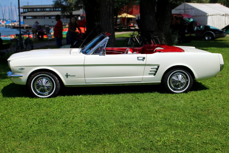 Vehicle mustang american