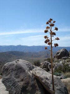 Desert rocks landscape