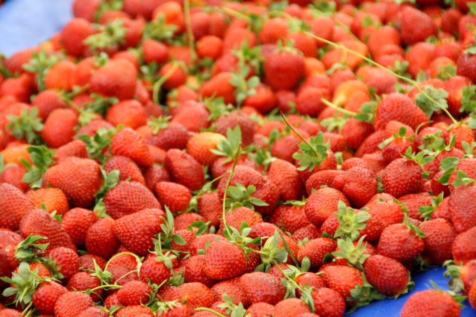 Fruits fruit fresh
