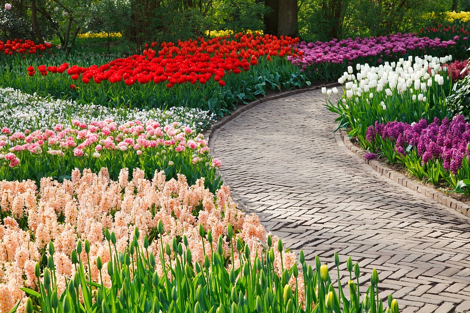 Color colorful dutch
