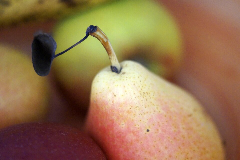 Fruit food healthy