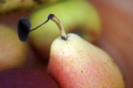 Fruit food healthy