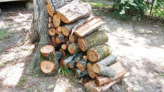 Wood heap stacked lumber