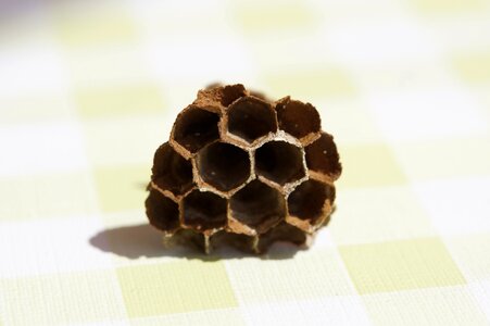 Empty hexagon hexagonal