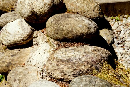 Round rock nature
