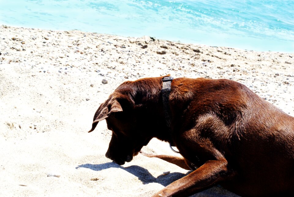 Beach water summer