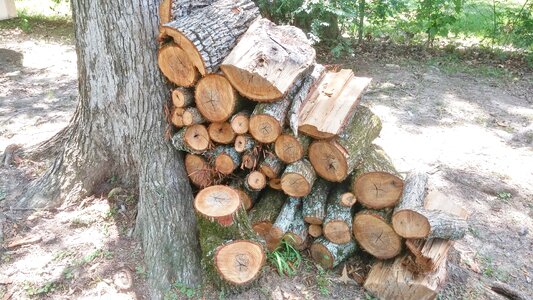 Wood heap stacked lumber photo