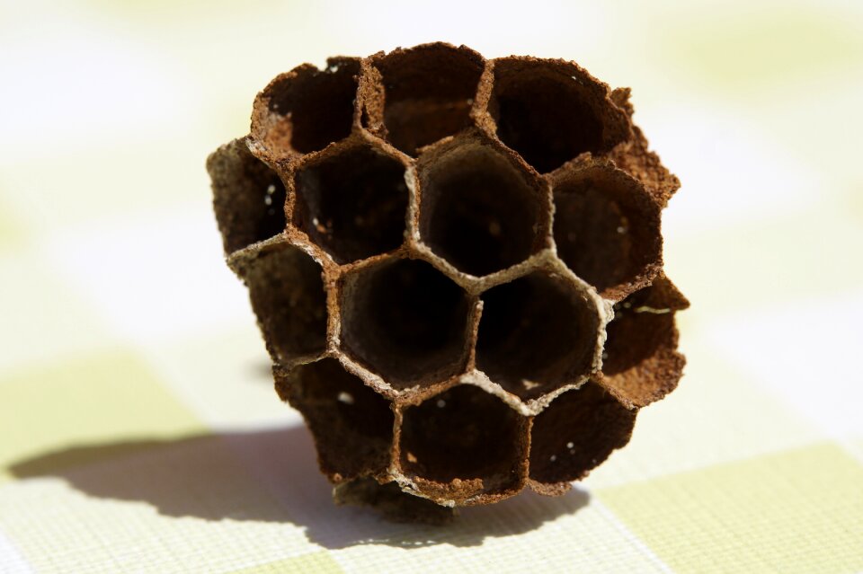 Filigree hexagon hexagonal