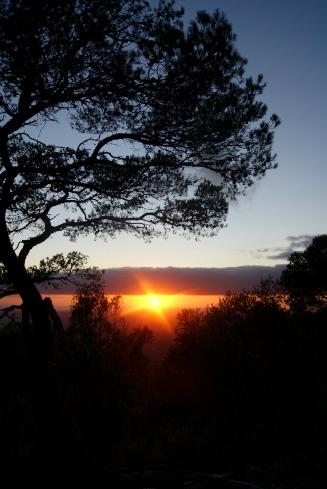Mallorca at randa near the sanctuary of our caring lady