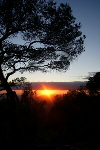 Mallorca at randa near the sanctuary of our caring lady