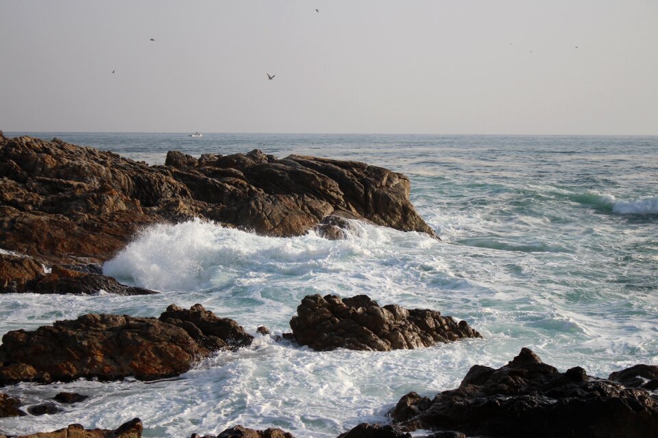 Waves sea go to catfish