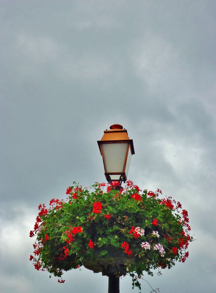 Light sky nest