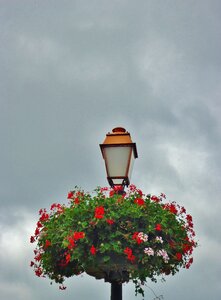 Light sky nest photo