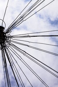 Biodata power lines wires