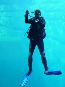 Diving suit fins underwater photo