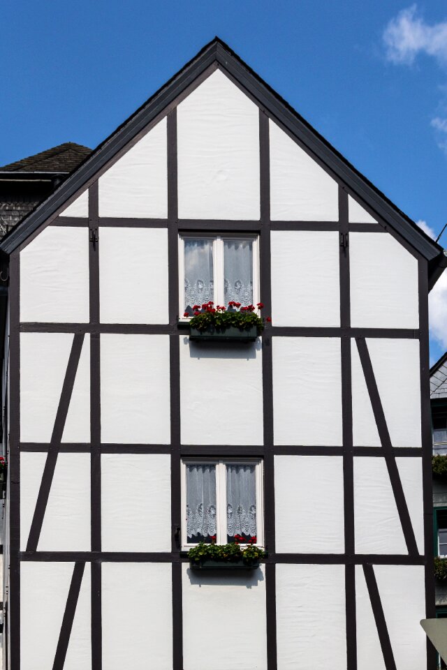 Living space timber-framed windows