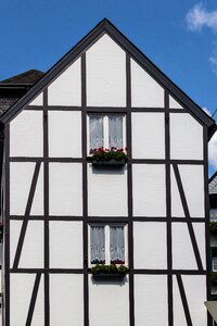 Living space timber-framed windows