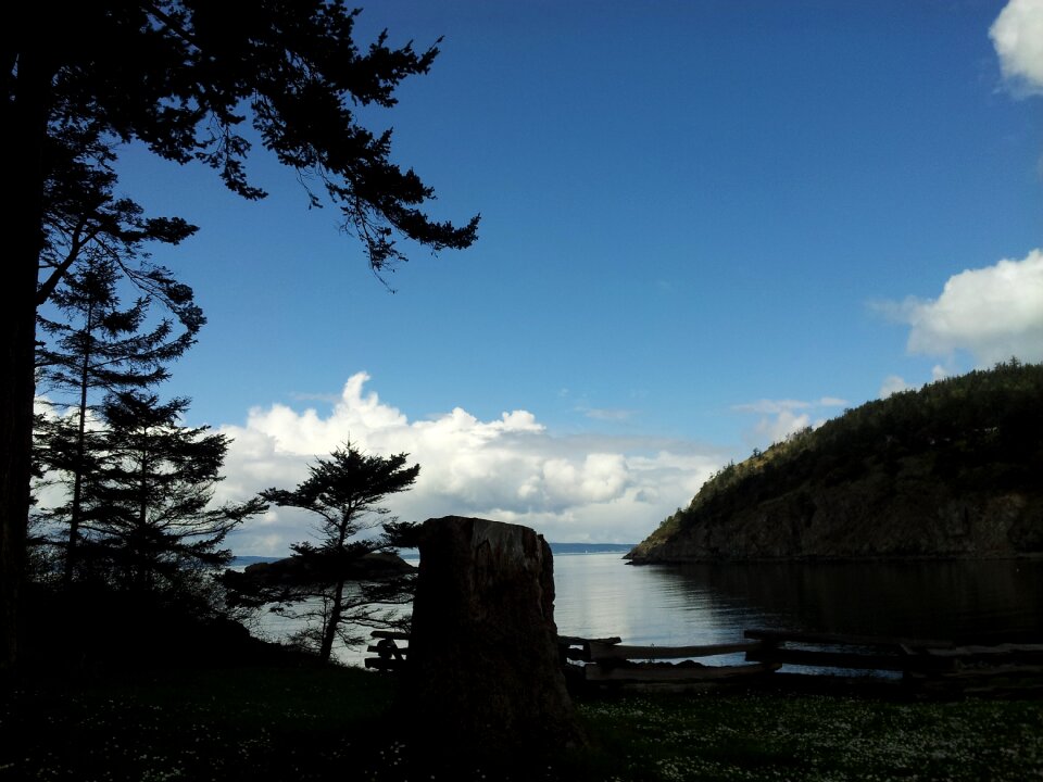 Blue nature summer