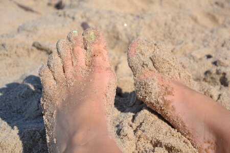 The baltic sea sea summer photo