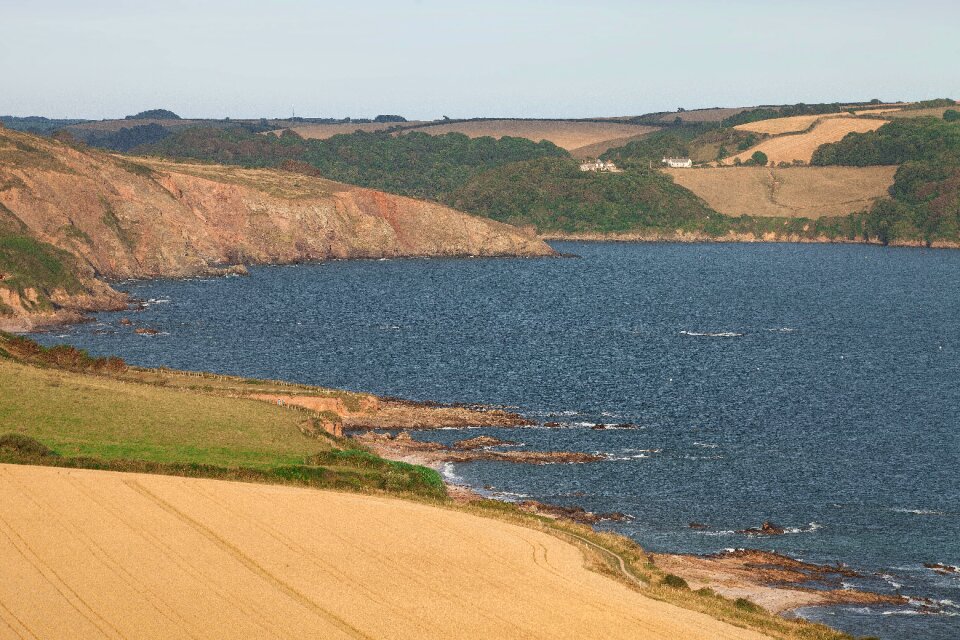 Cereals rock forest