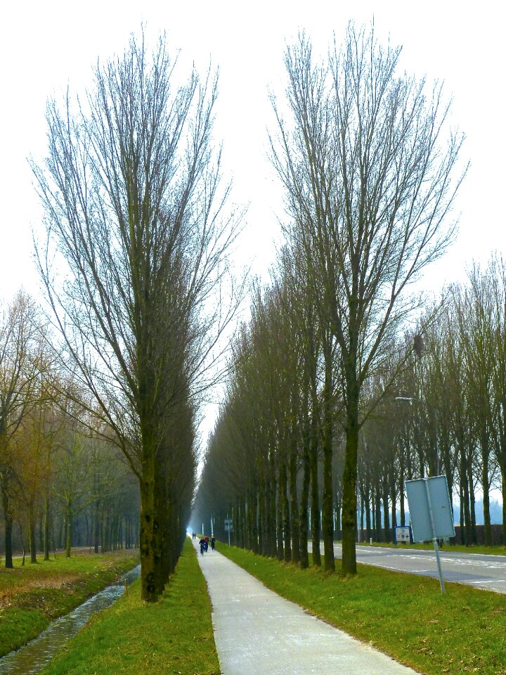 Perspective road travel