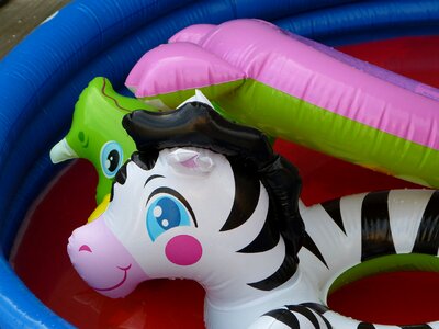 Blowup vinyl float