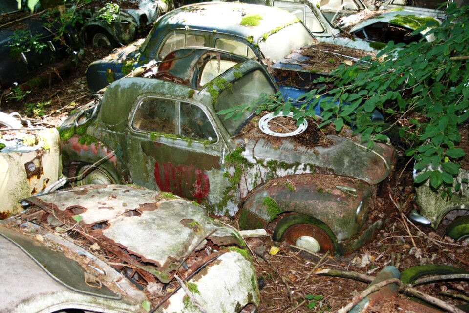 Car cemetery oldtimer rust
