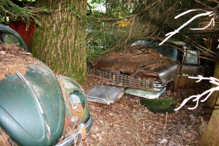 Rusted vw beetle oldtimer