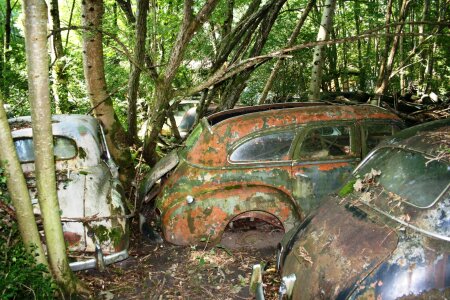 Environmental sin pollution car cemetery