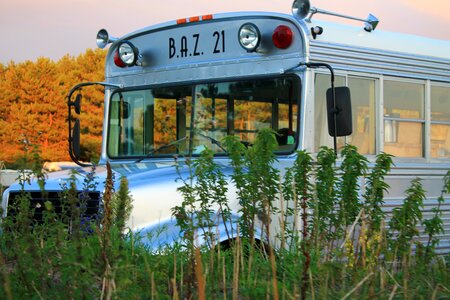 Bus school bus vehicle