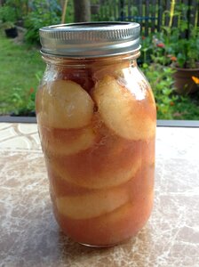Apples canning fruit