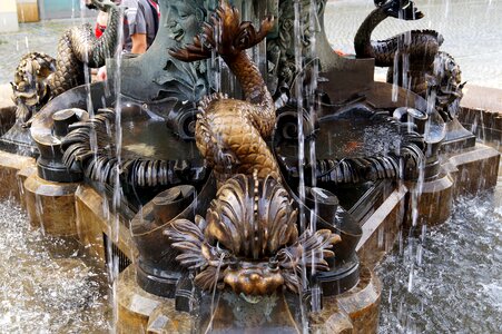 Fish water copper