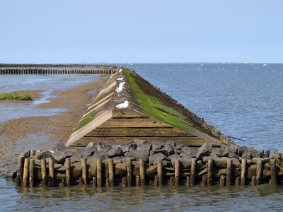 Watts intertidal zone ebb photo