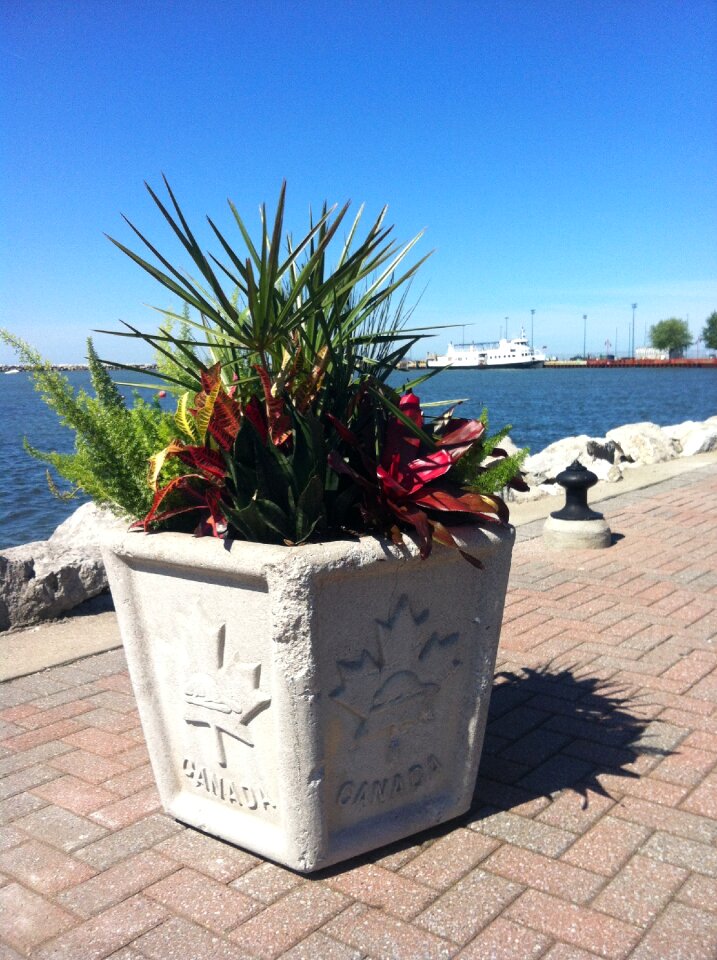 Lake summer pot