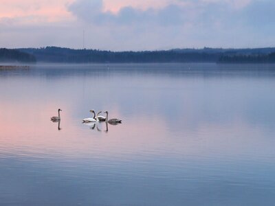 Calm beach nature
