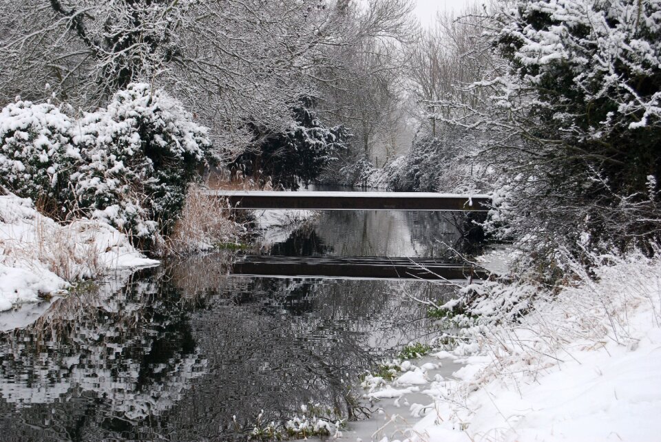 Nature bridge stream